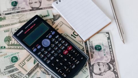 Como Consultar Seu CPF de Graça: Serasa, SPC e Registrato